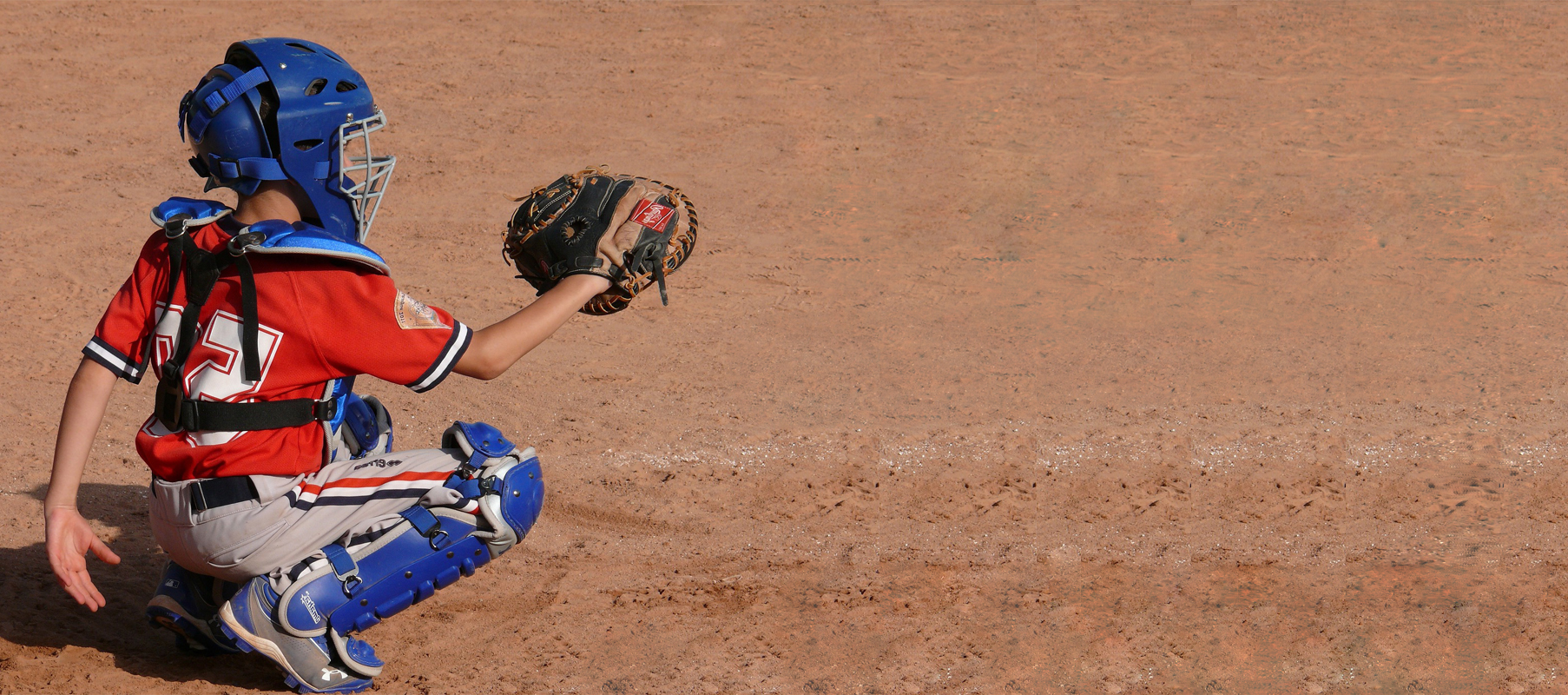 Baseball Club Management Software Baseball League Management Software