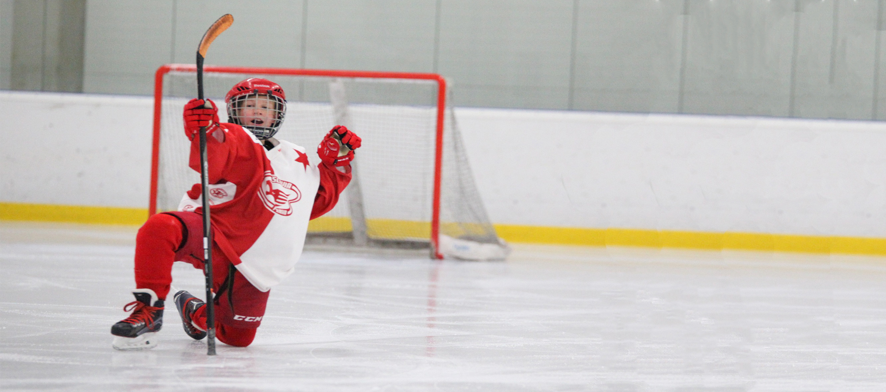 Hockey Club Management Software Hockey League Management Software