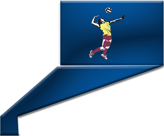 Software for Club Player Club Player Management App